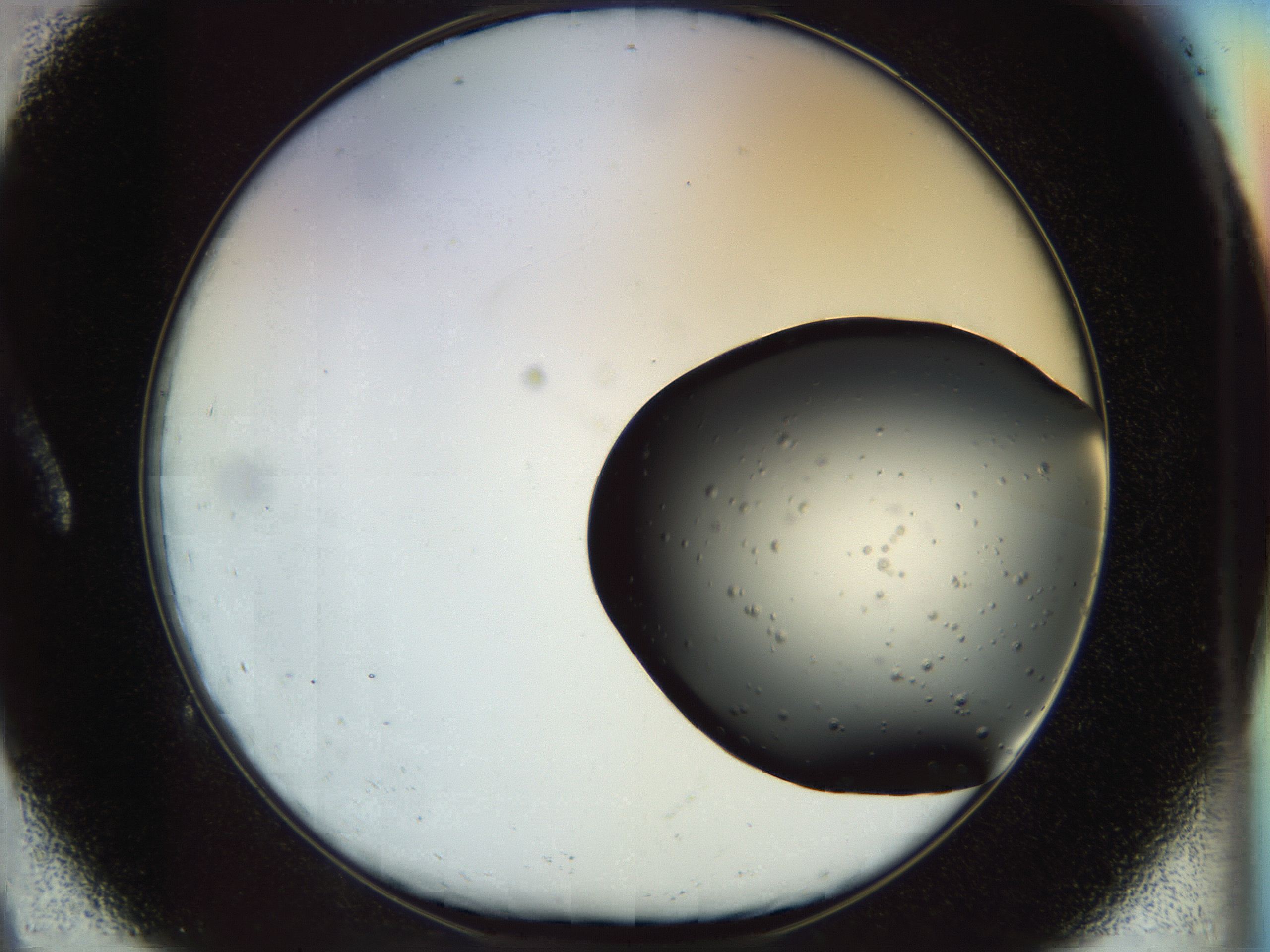 051m_A9_HighResolution_9.jpg
