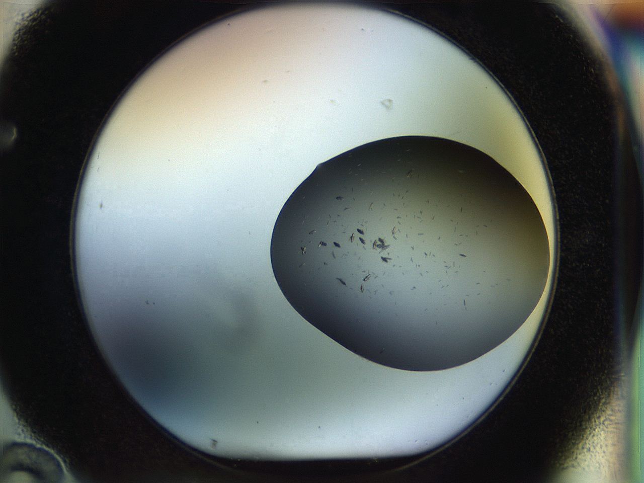 051m_F10_ImagerDefaults_9.jpg