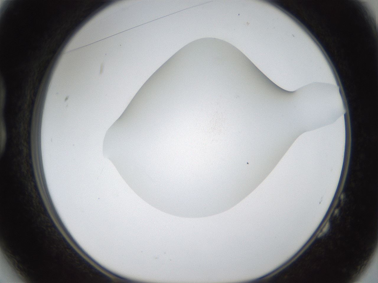 folderID287_plateID1287_batchID3921_wellNum14_profileID1_d1_r77189_ef.jpg
