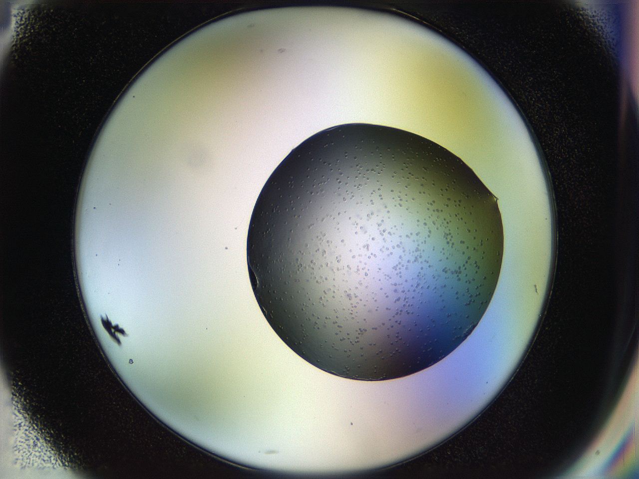 051m_G4_ImagerDefaults_9.jpg