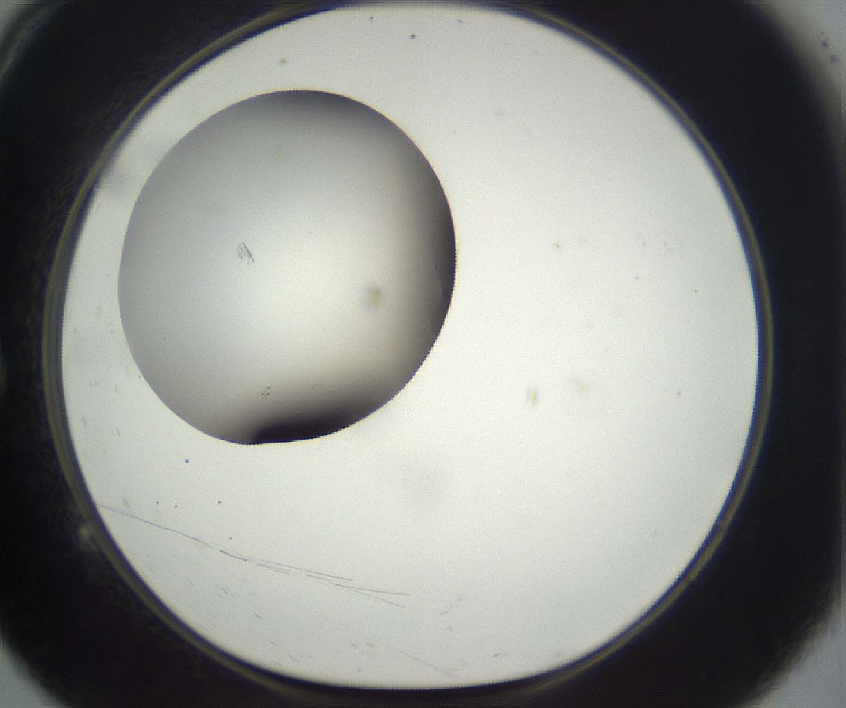 folderID288_plateID3288_batchID19719_wellNum9_profileID1_d1_r290076_ef.jpg