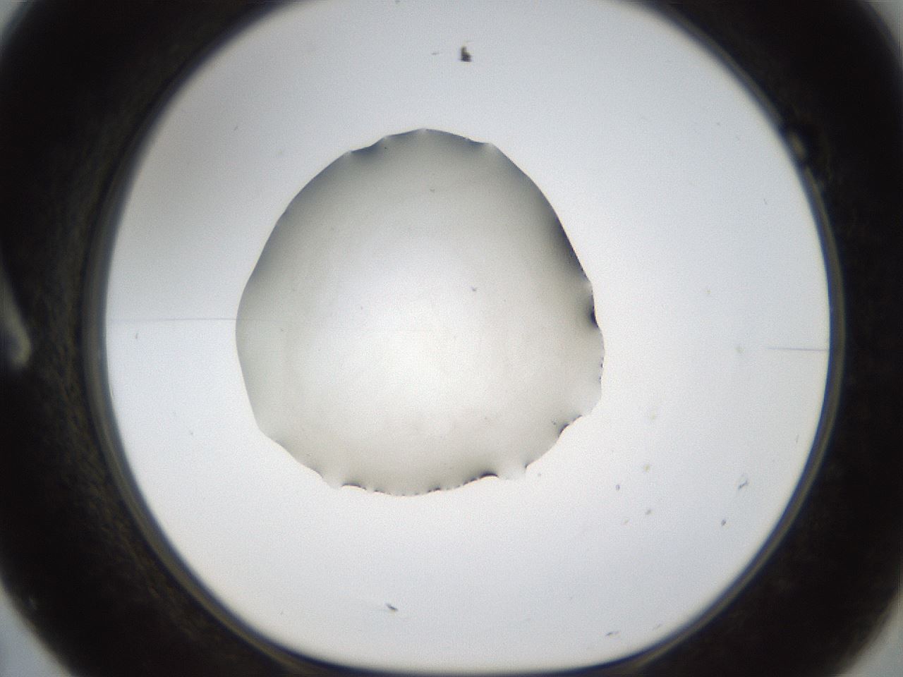 folderID289_plateID1289_batchID3922_wellNum7_profileID1_d1_r77278_ef.jpg