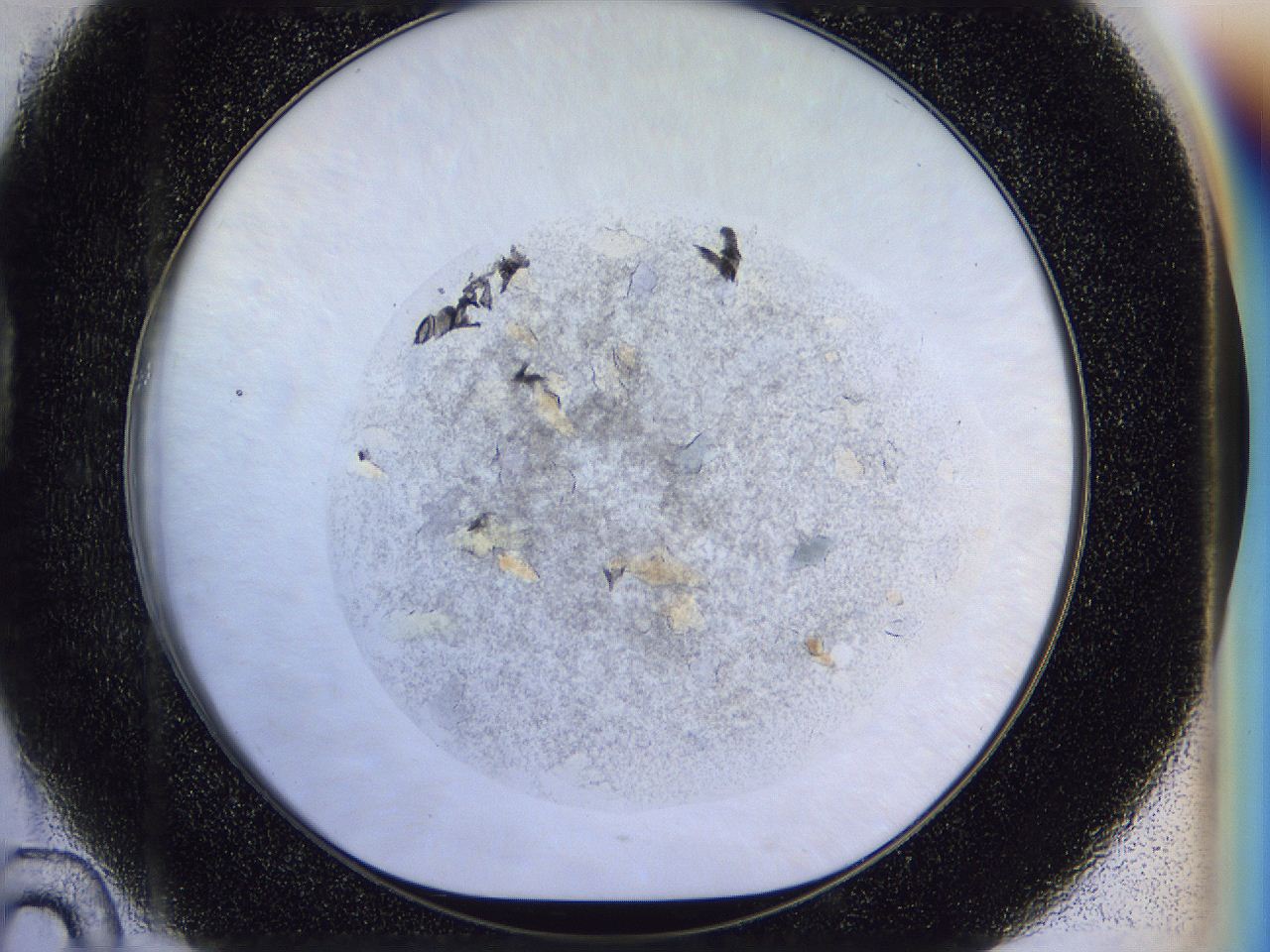 051n_D10_ImagerDefaults_9.jpg