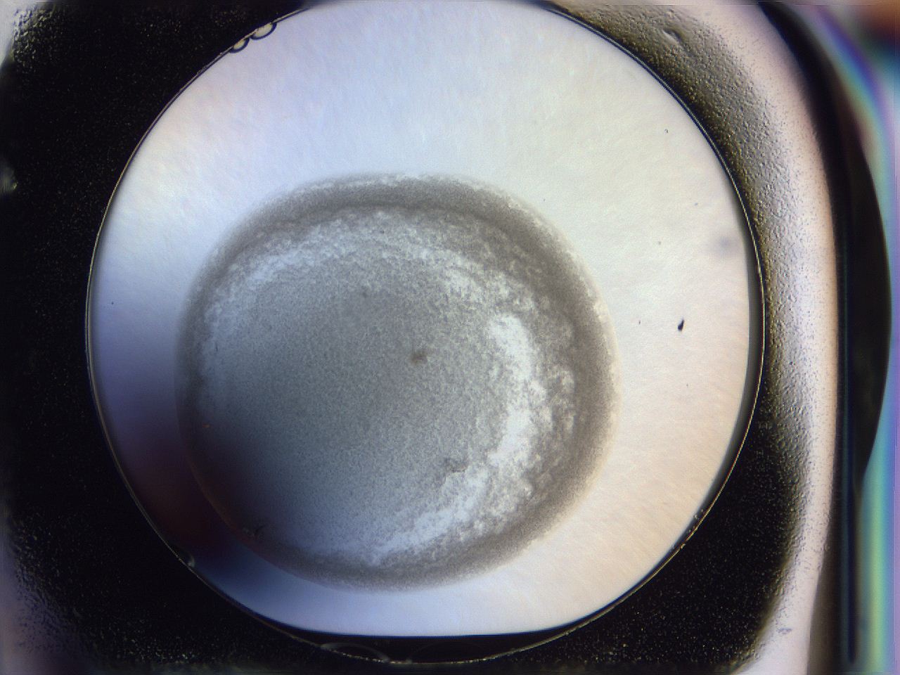 051n_F4_ImagerDefaults_8.jpg