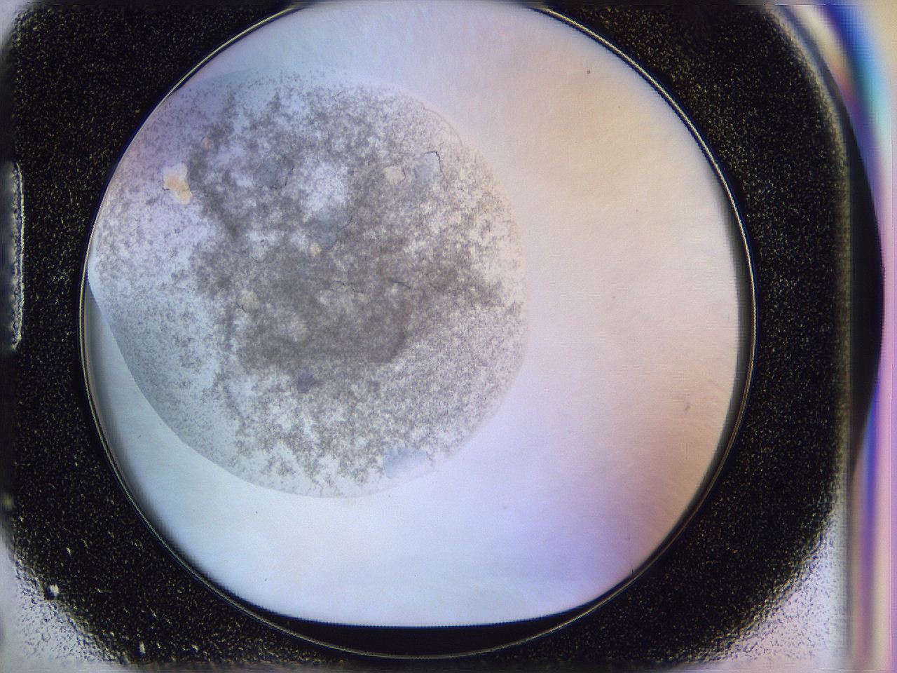 051n_H6_ImagerDefaults_9.jpg