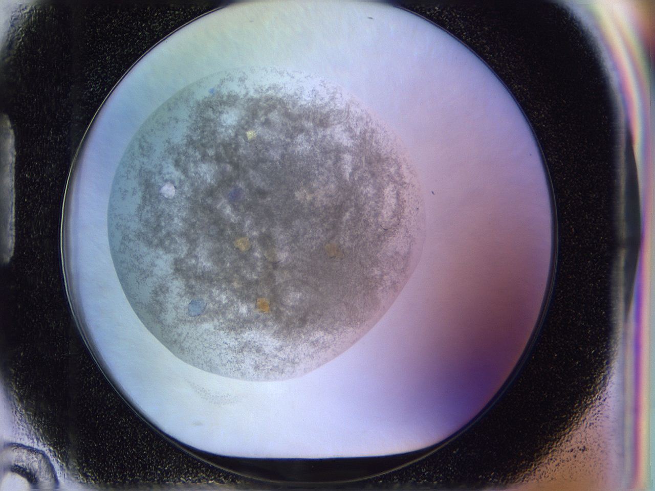 051n_H10_ImagerDefaults_9.jpg