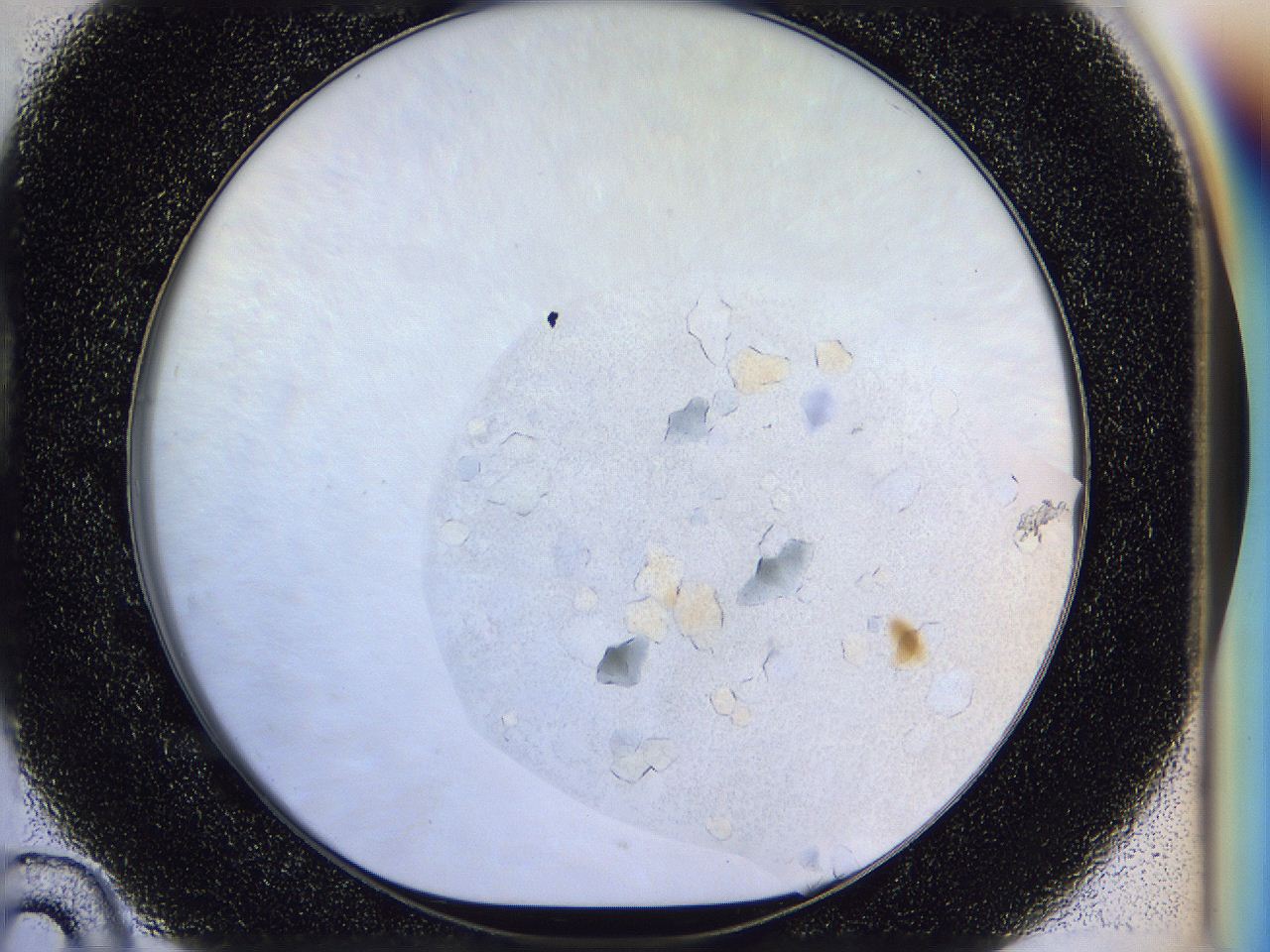 051o_D10_ImagerDefaults_9.jpg