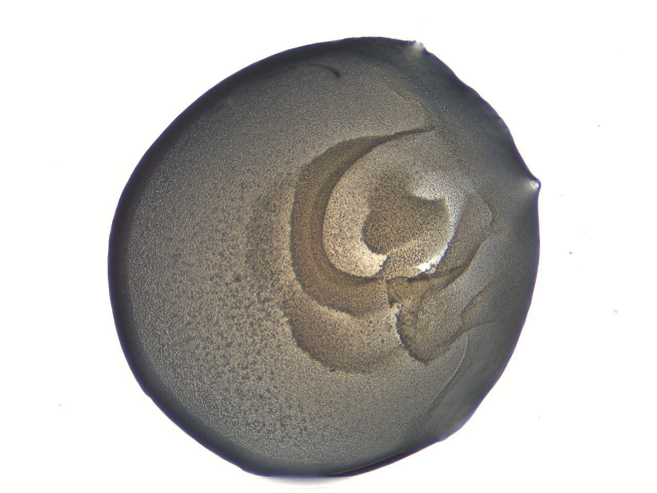 0534_A1_ImagerDefaults_3.jpg