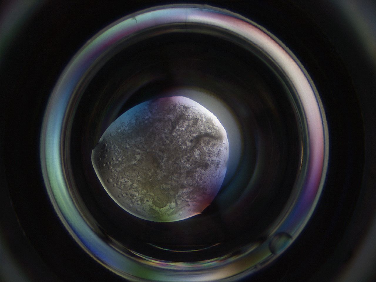 0535_D6_ImagerDefaults_3.jpg