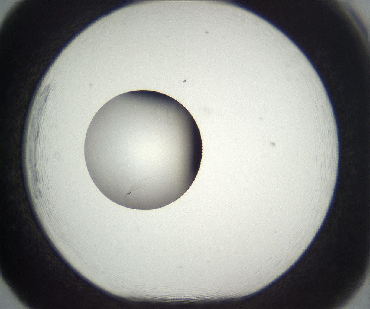 folderID292_plateID3292_batchID18838_wellNum65_profileID1_d1_r290228_ef.jpg