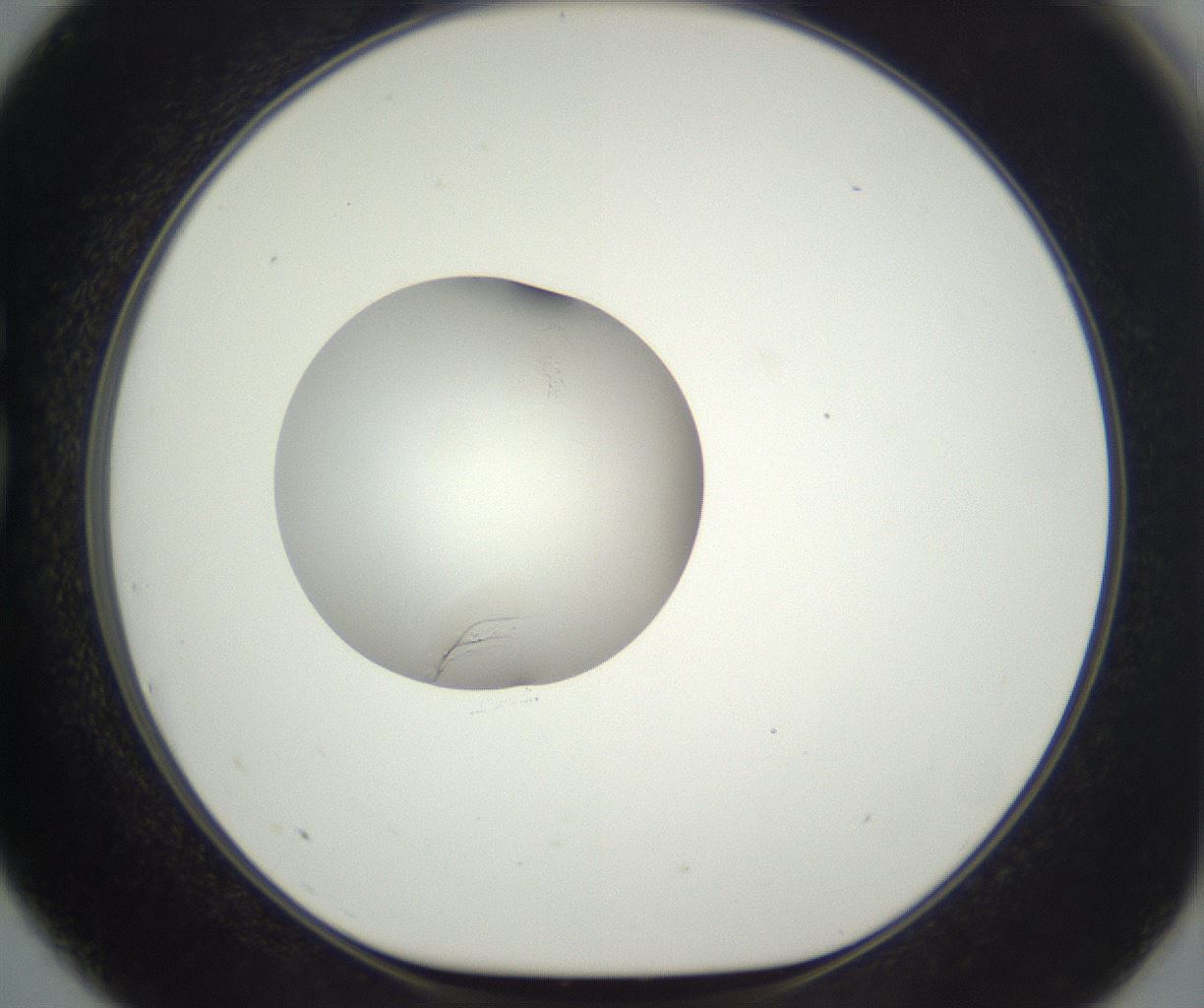 folderID292_plateID3292_batchID20047_wellNum75_profileID1_d1_r290238_ef.jpg
