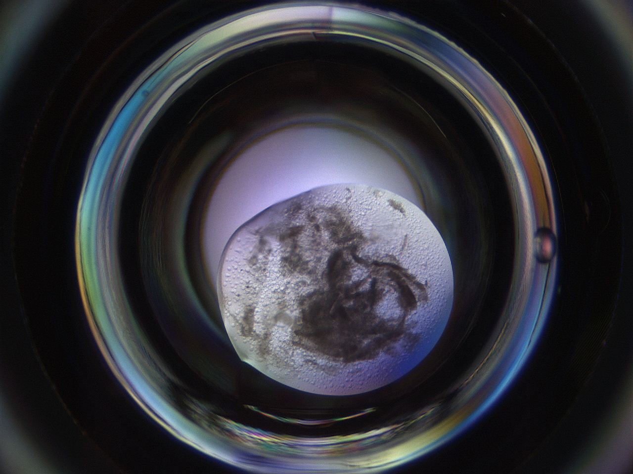 0535_A6_ImagerDefaults_3.jpg