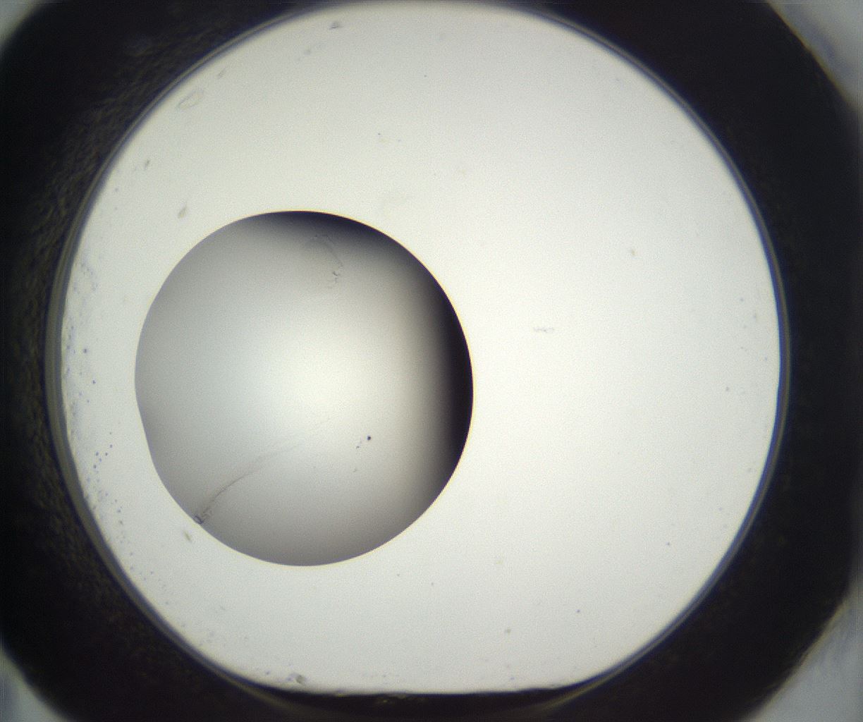 folderID293_plateID3293_batchID18802_wellNum83_profileID1_d1_r290438_ef.jpg