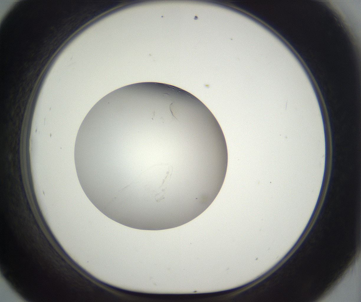 folderID293_plateID3293_batchID18954_wellNum45_profileID1_d1_r290400_ef.jpg