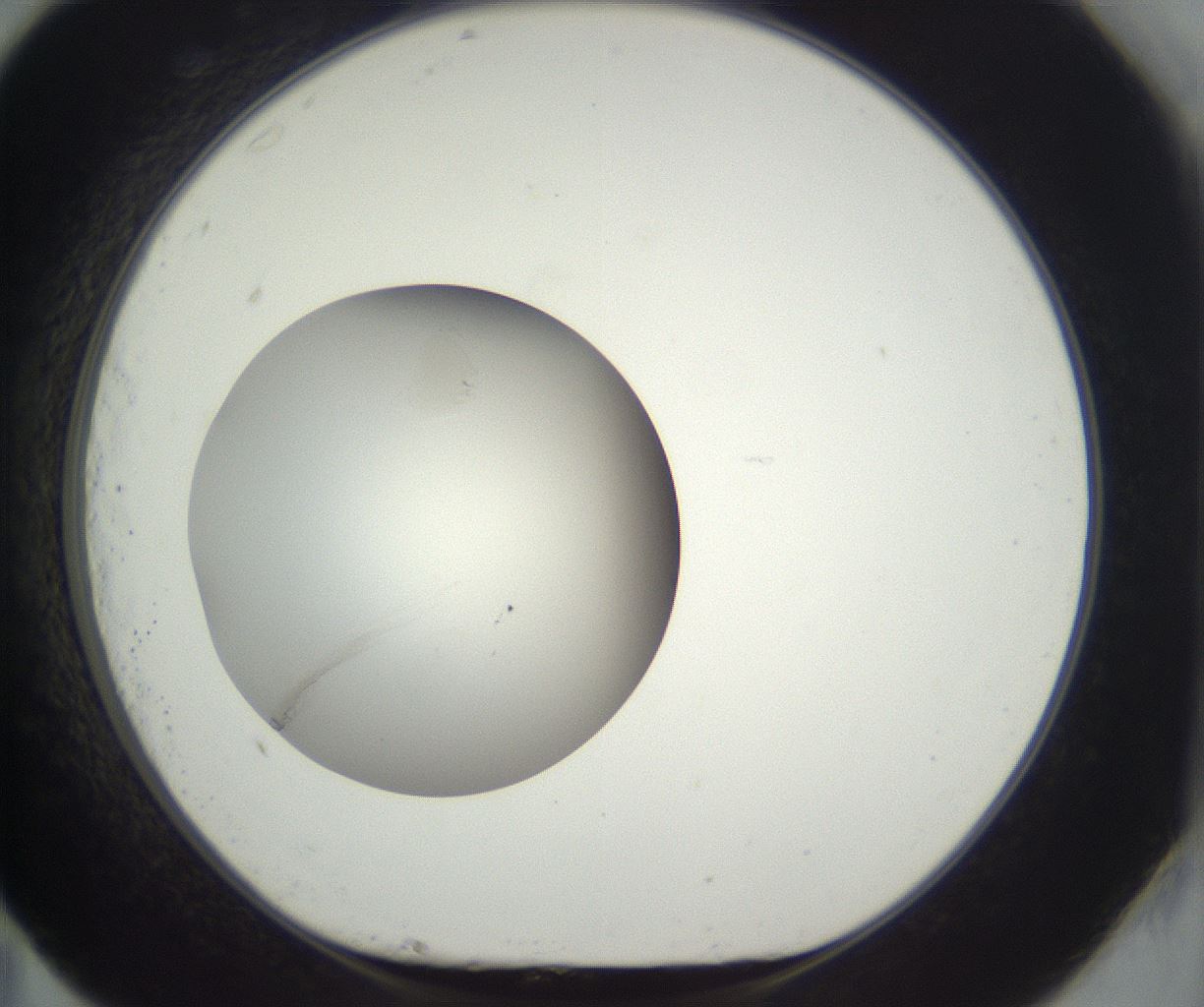 folderID293_plateID3293_batchID19722_wellNum83_profileID1_d1_r290438_ef.jpg
