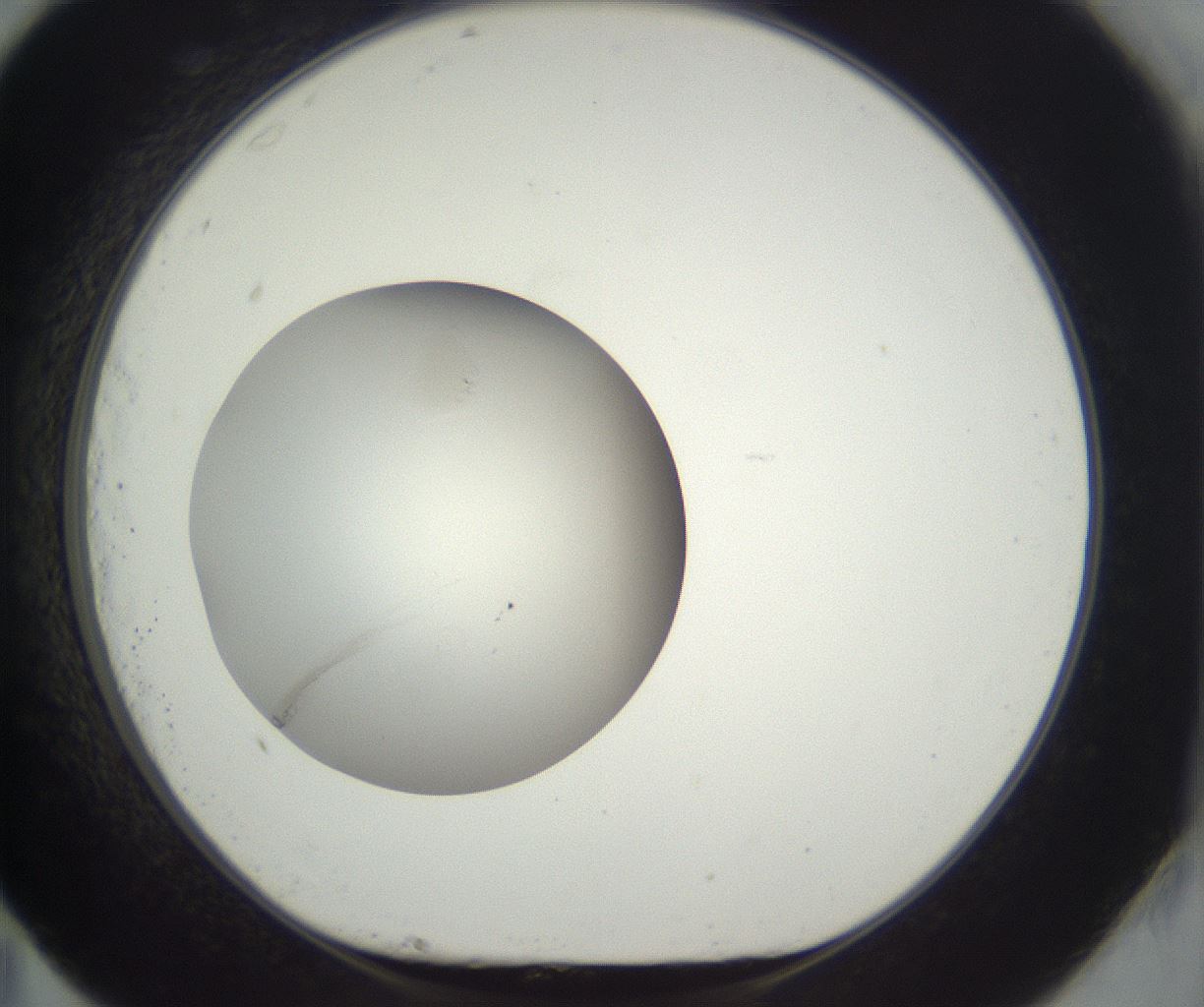 folderID293_plateID3293_batchID20049_wellNum83_profileID1_d1_r290438_ef.jpg