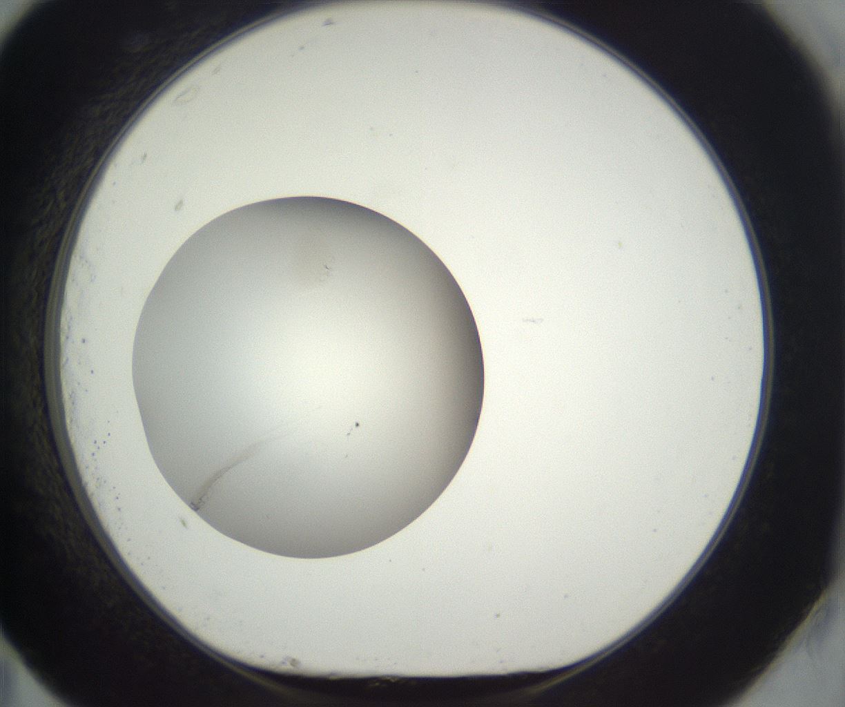 folderID293_plateID3293_batchID20782_wellNum83_profileID1_d1_r290438_ef.jpg