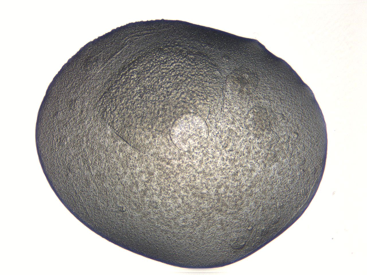 0536_A1_ImagerDefaults_3.jpg