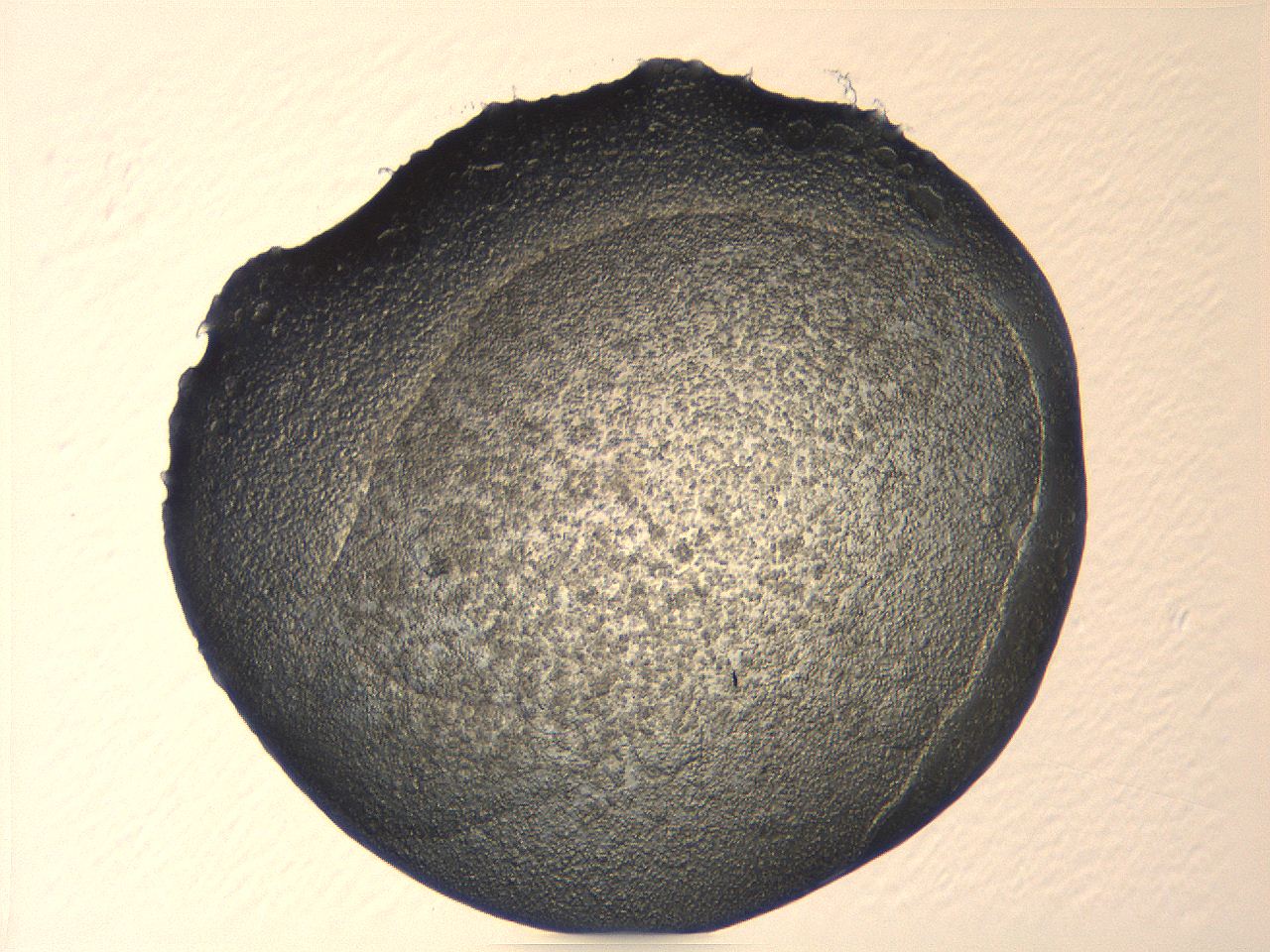 0536_A2_ImagerDefaults_3.jpg