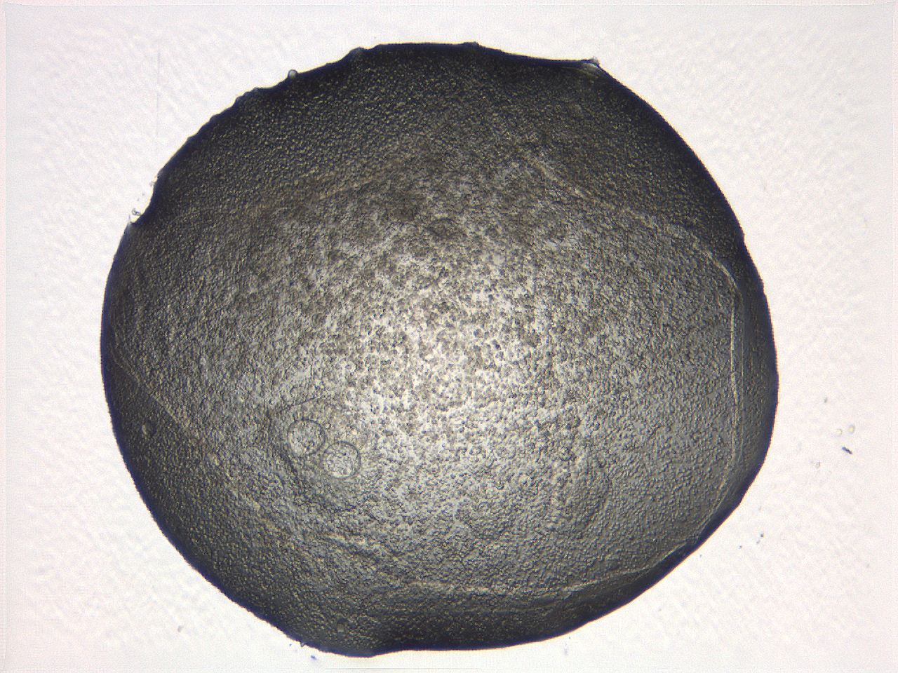 0536_A3_ImagerDefaults_3.jpg