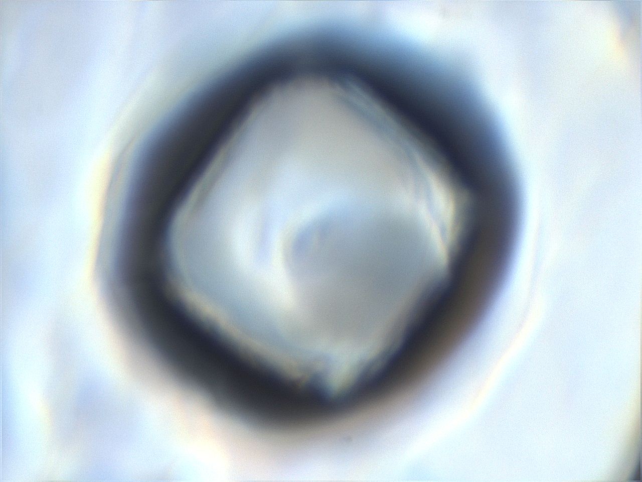 0538_A1_ImagerDefaults_0.jpg
