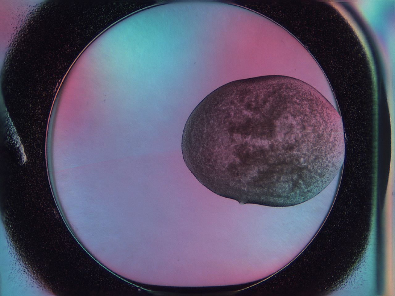 053a_A1_ImagerDefaults_2.jpg