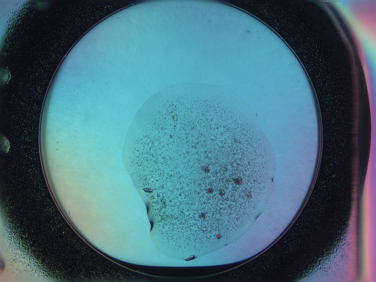 053a_E6_ImagerDefaults_9.jpg