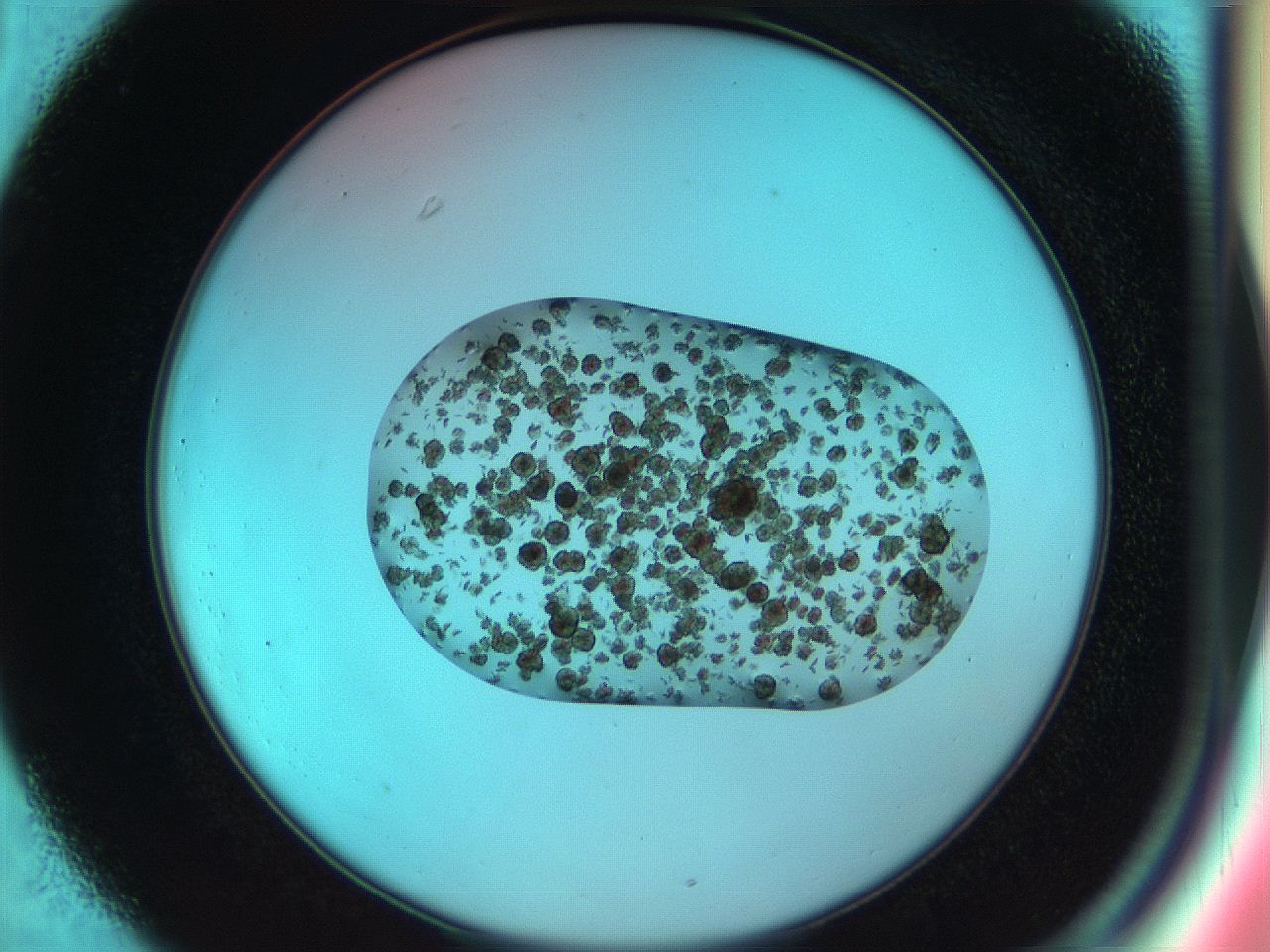 053b_C1_ImagerDefaults_6.jpg