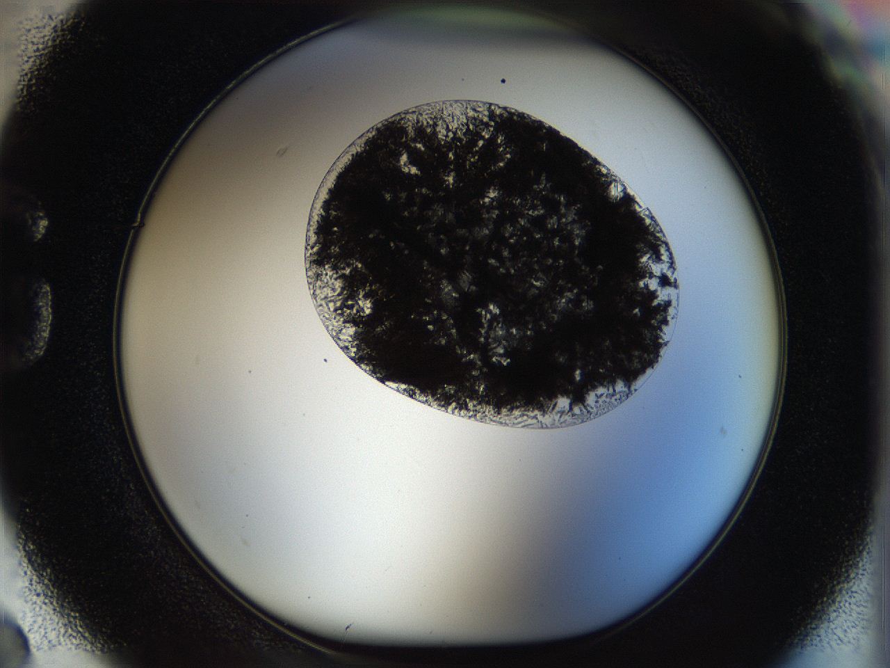 053c_G2_ImagerDefaults_9.jpg