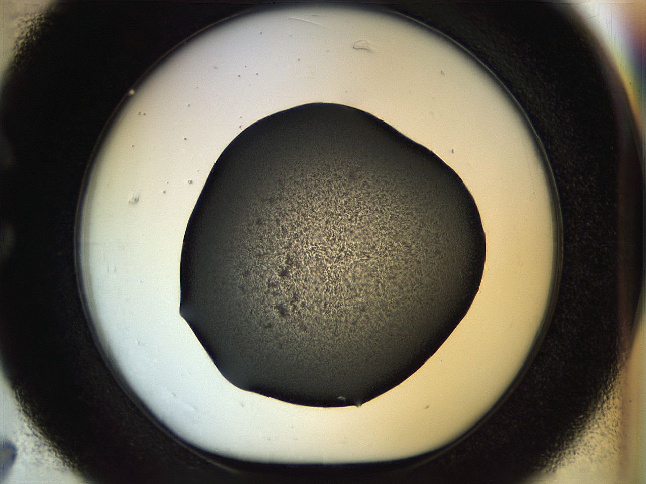 053n_C7_ImagerDefaults_6.jpg