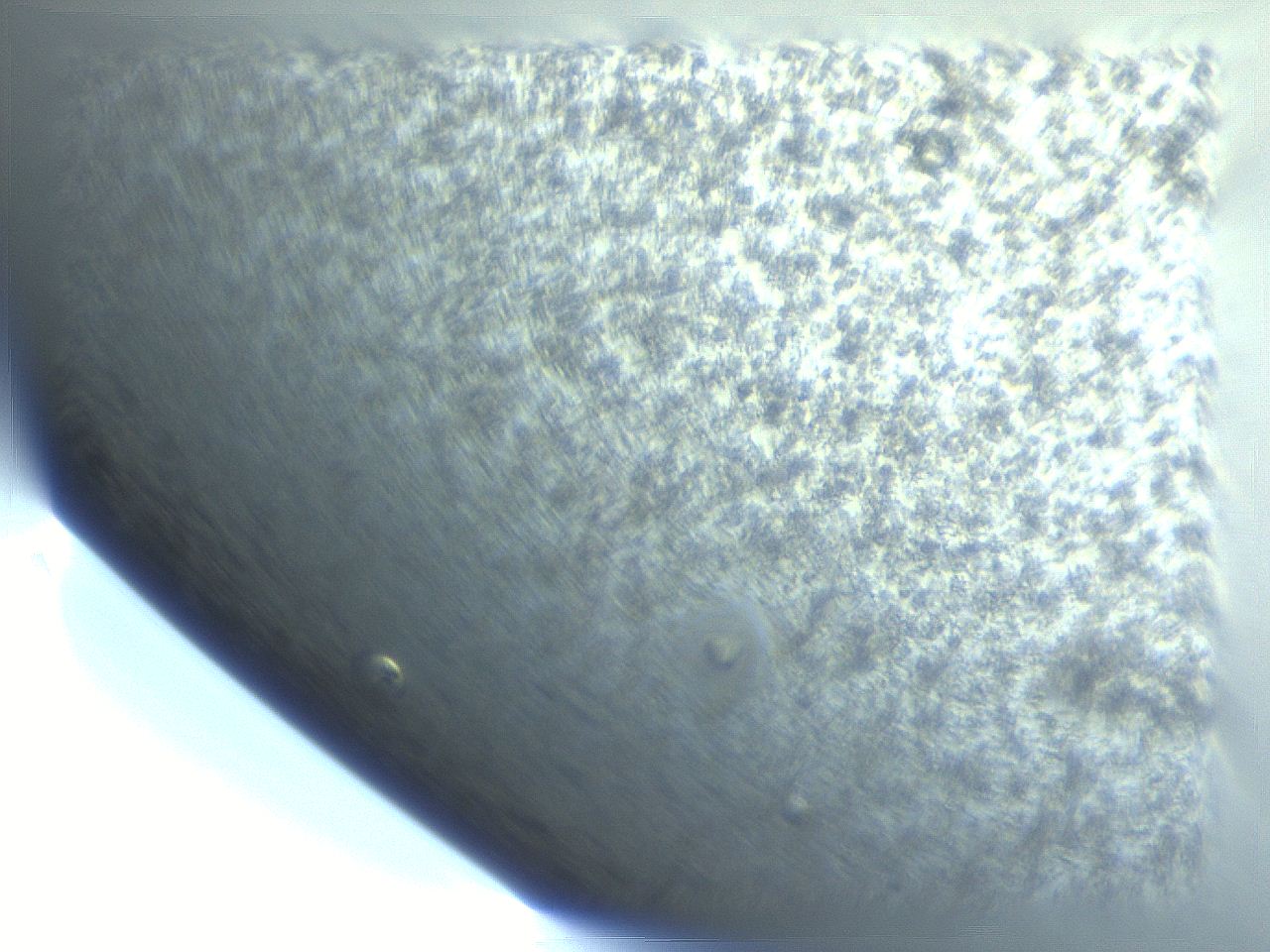 053n_C11_ImagerDefaults_7.jpg