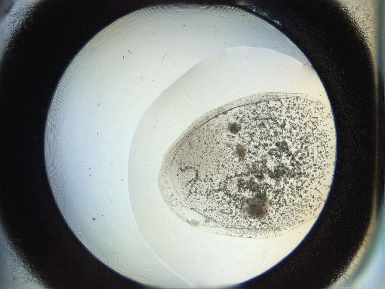 053o_B6_ImagerDefaults_6.jpg