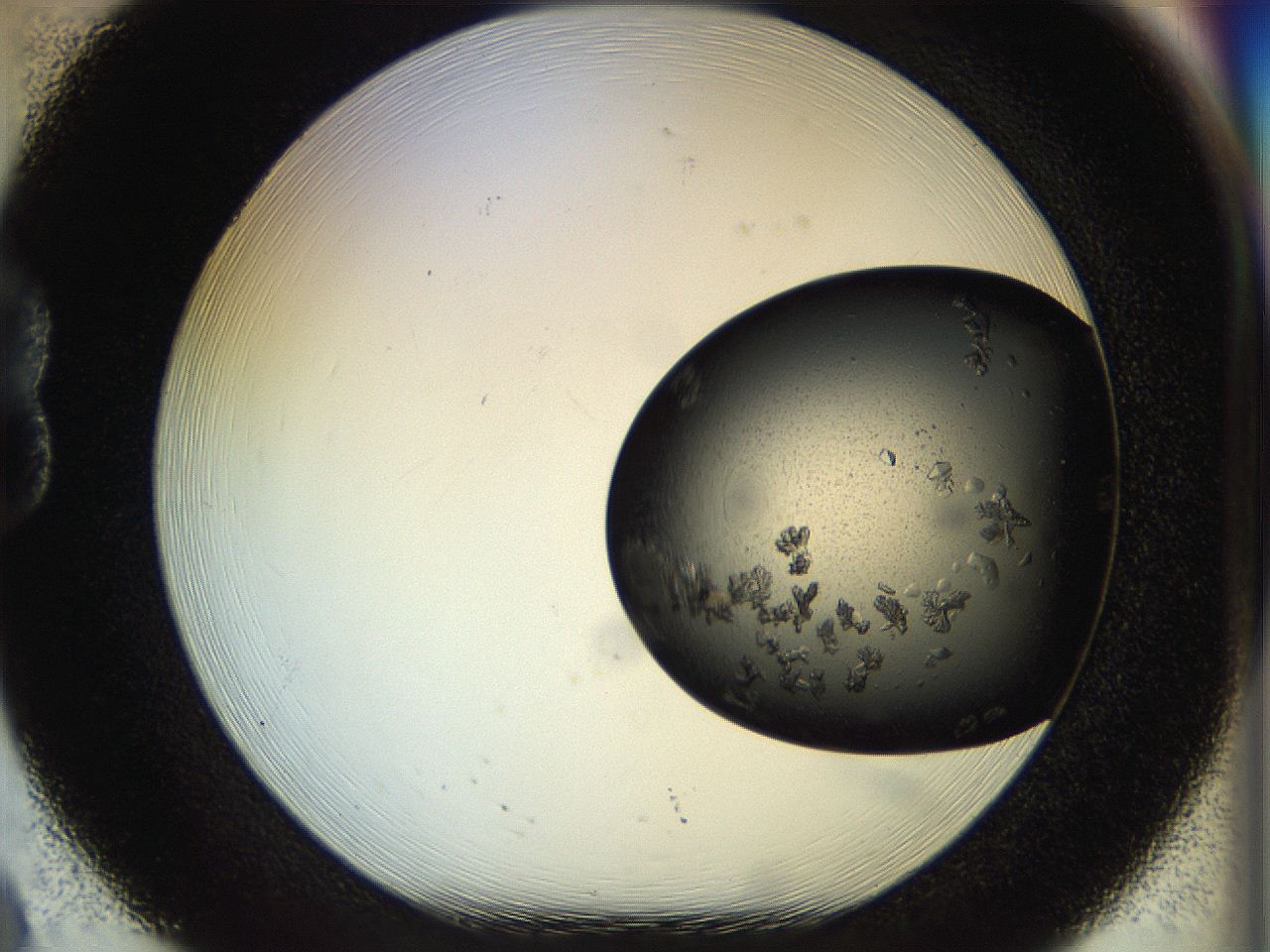 053o_B8_ImagerDefaults_8.jpg