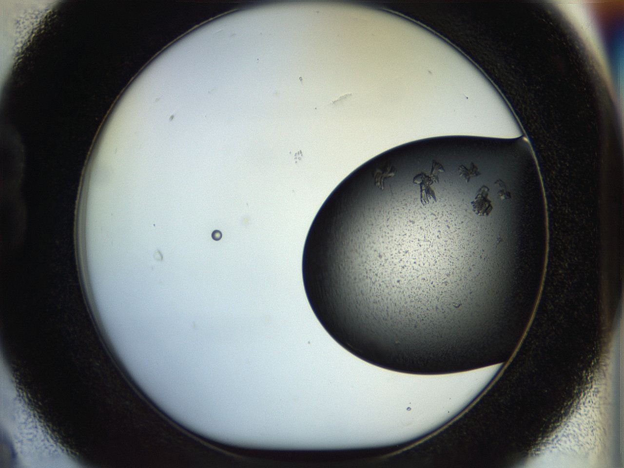 053o_B9_ImagerDefaults_8.jpg