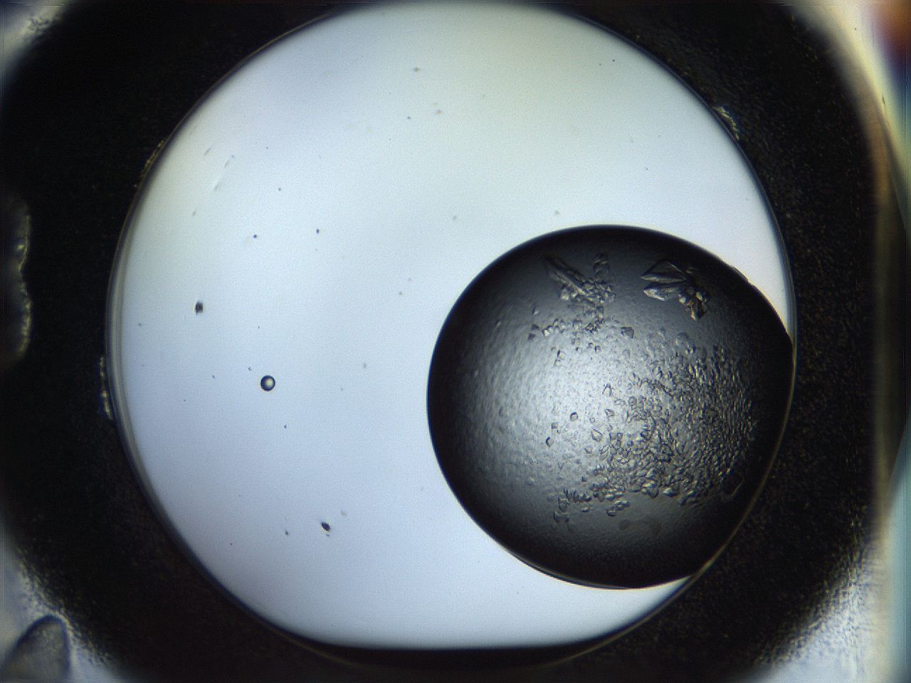053o_B11_ImagerDefaults_9.jpg