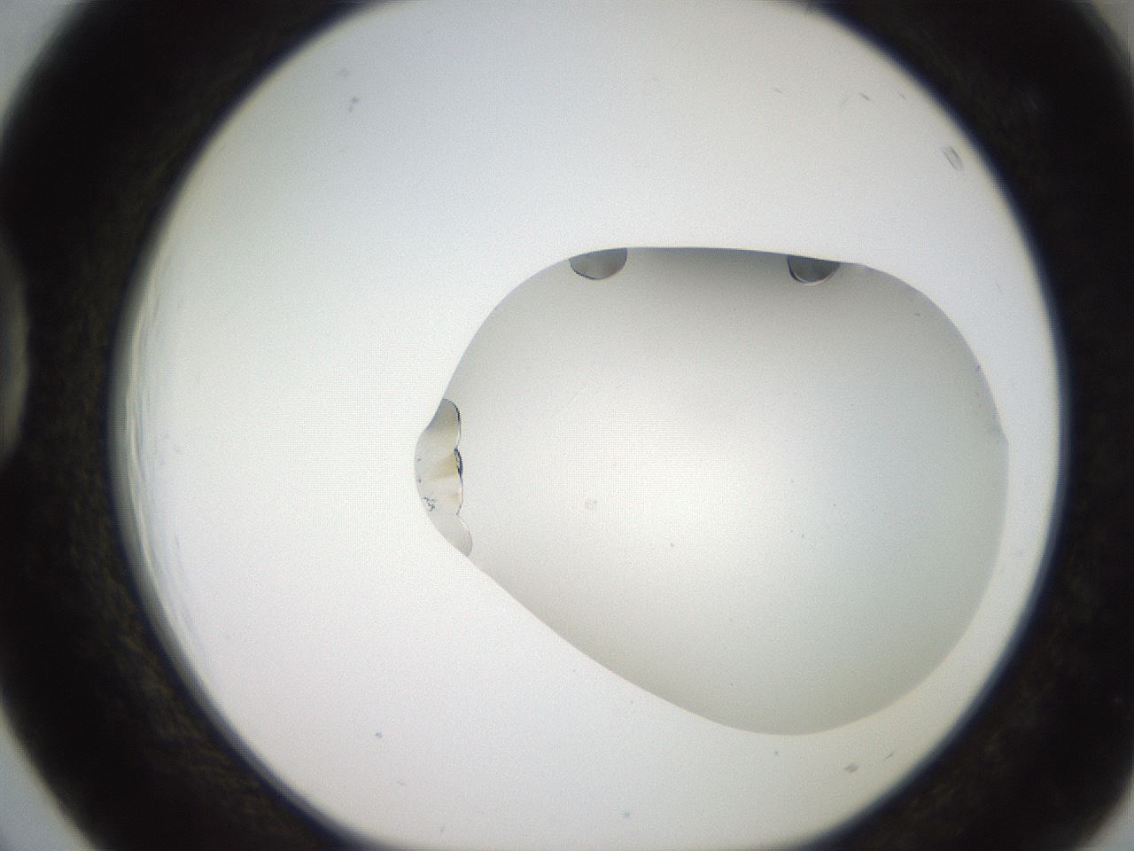 folderID206_plateID2206_batchID10095_wellNum39_profileID1_d1_r149827_ef.jpg
