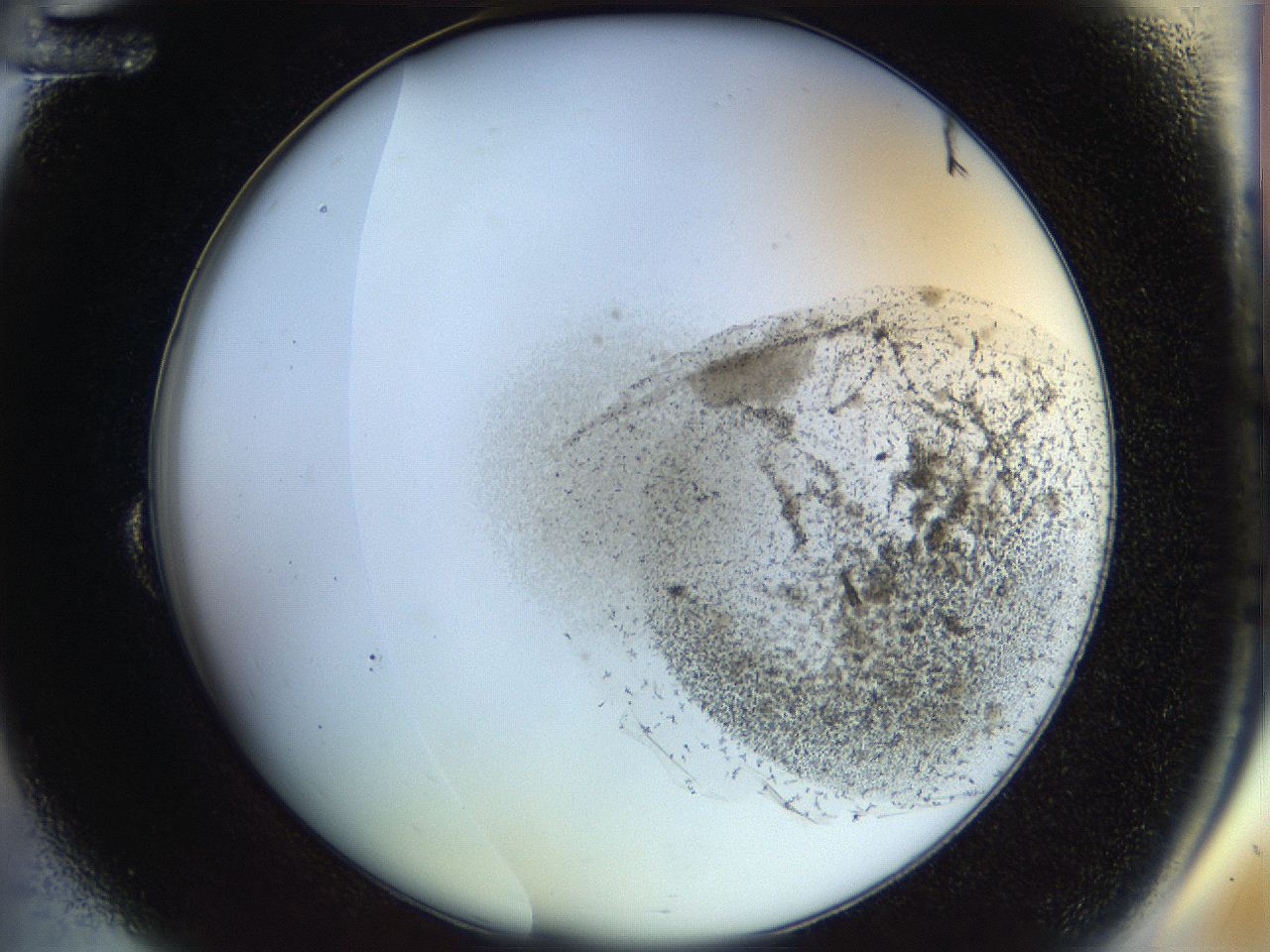 053o_B12_ImagerDefaults_6.jpg