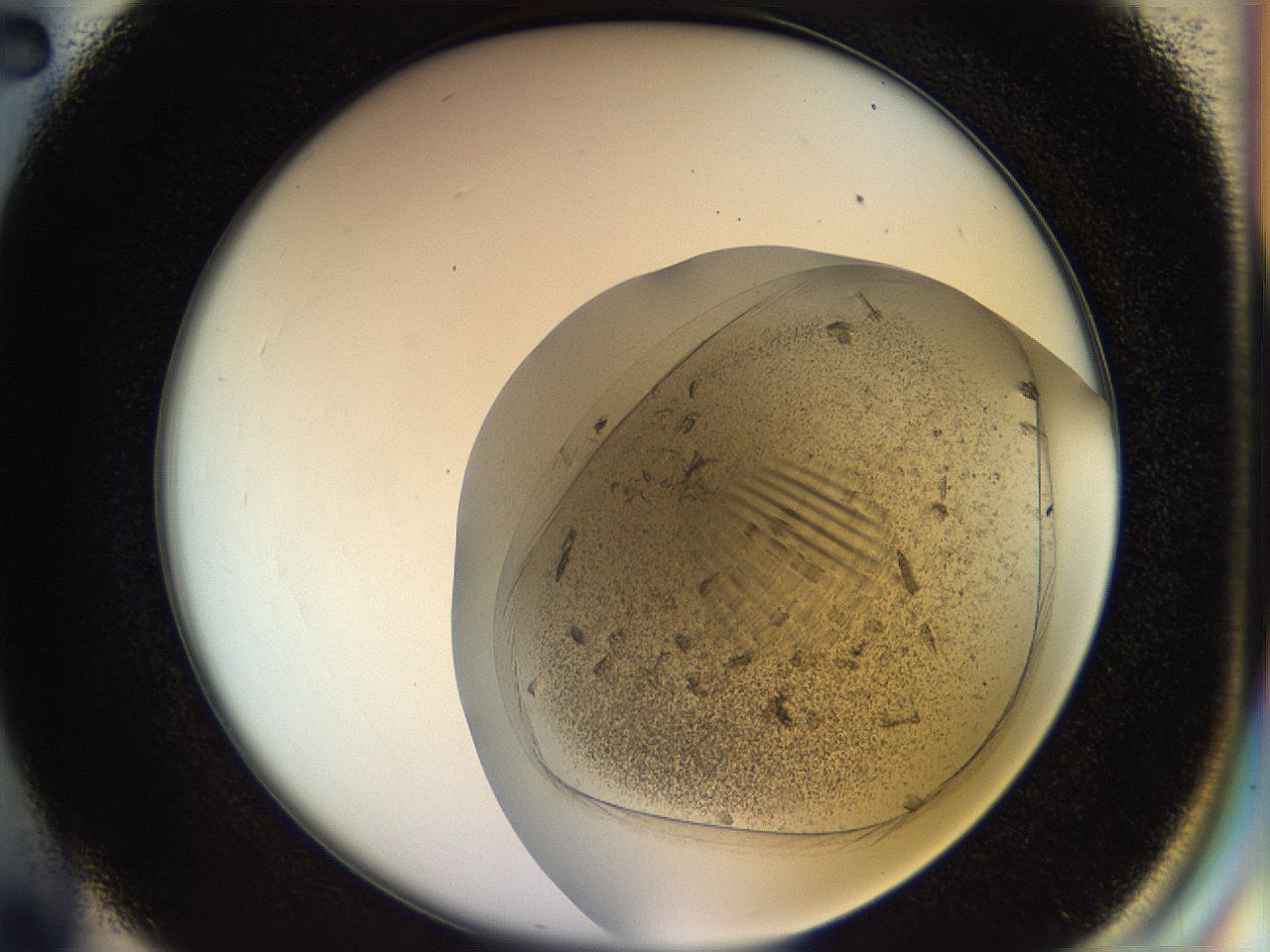 053o_C2_ImagerDefaults_8.jpg