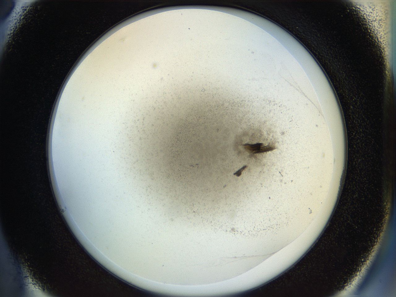 053o_C6_ImagerDefaults_9.jpg