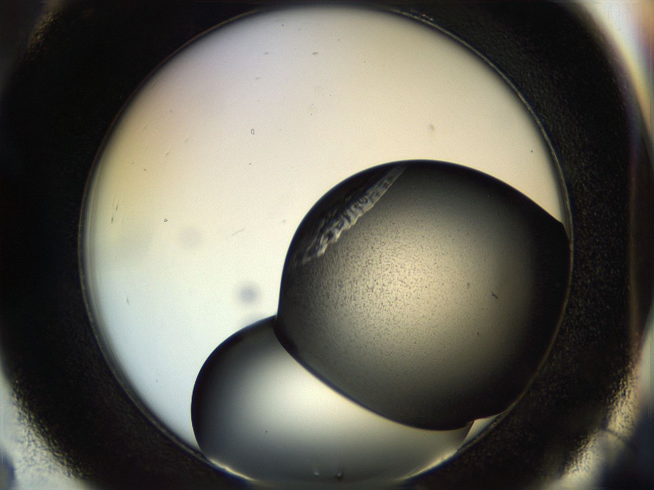 053o_C8_ImagerDefaults_8.jpg