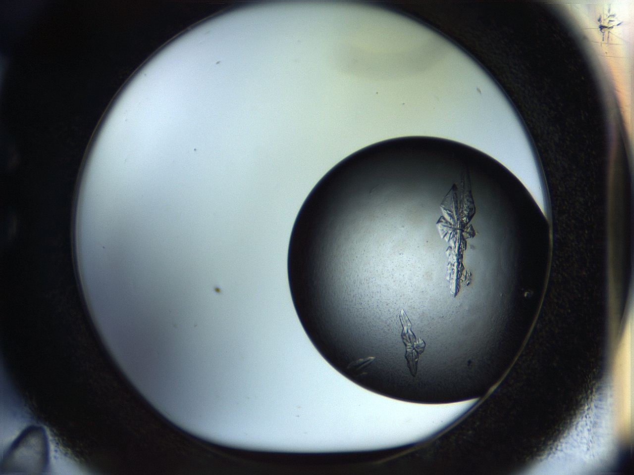 053o_C11_ImagerDefaults_8.jpg