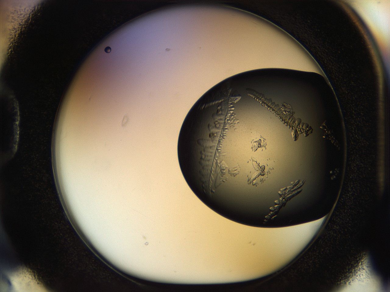 053o_D2_ImagerDefaults_8.jpg