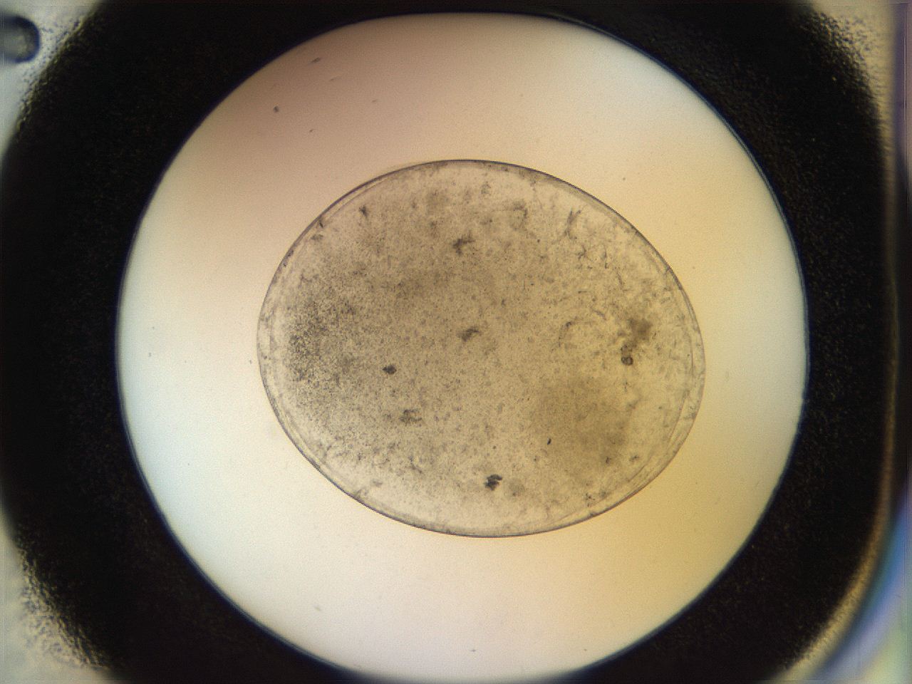 053o_D2_ImagerDefaults_6.jpg