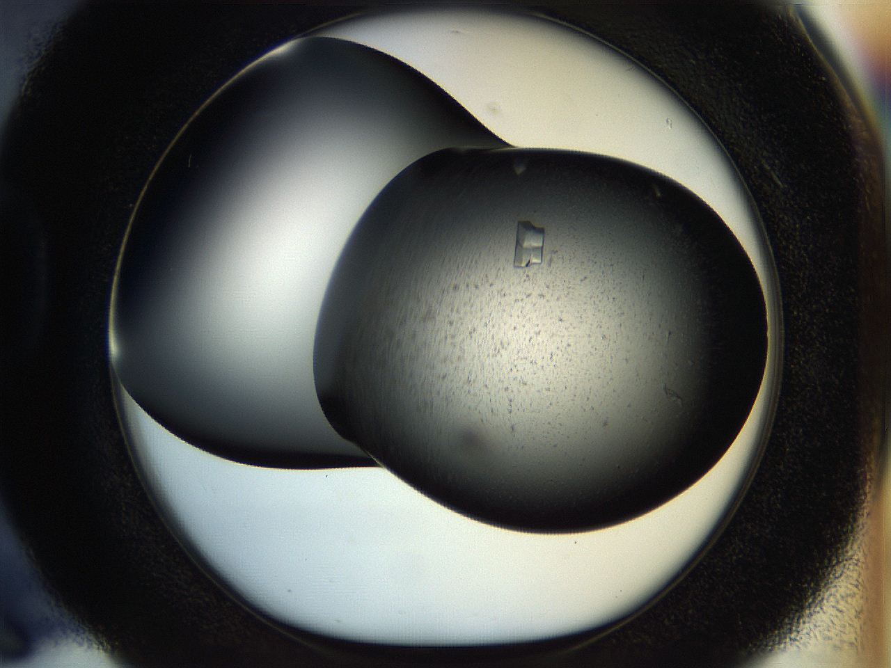 053o_D6_ImagerDefaults_9.jpg