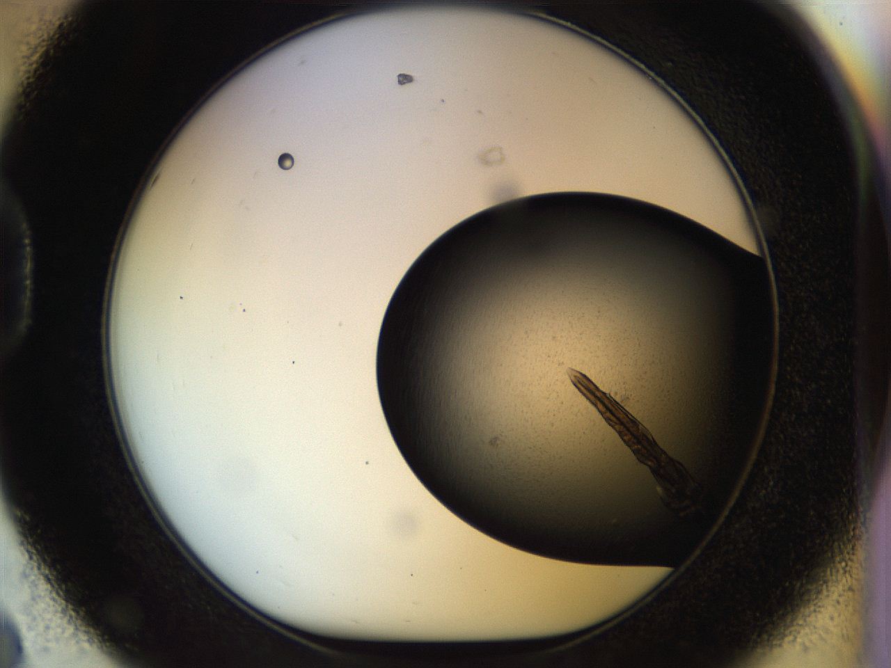 053o_D8_ImagerDefaults_8.jpg