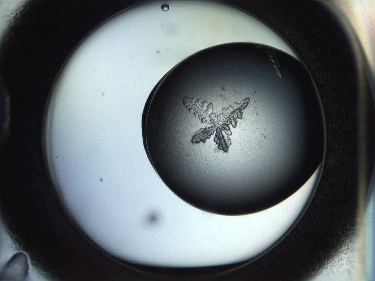 053o_D11_ImagerDefaults_8.jpg
