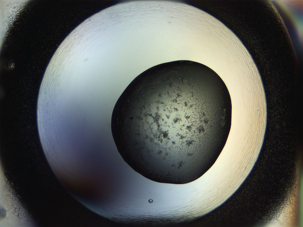 053o_F5_ImagerDefaults_7.jpg