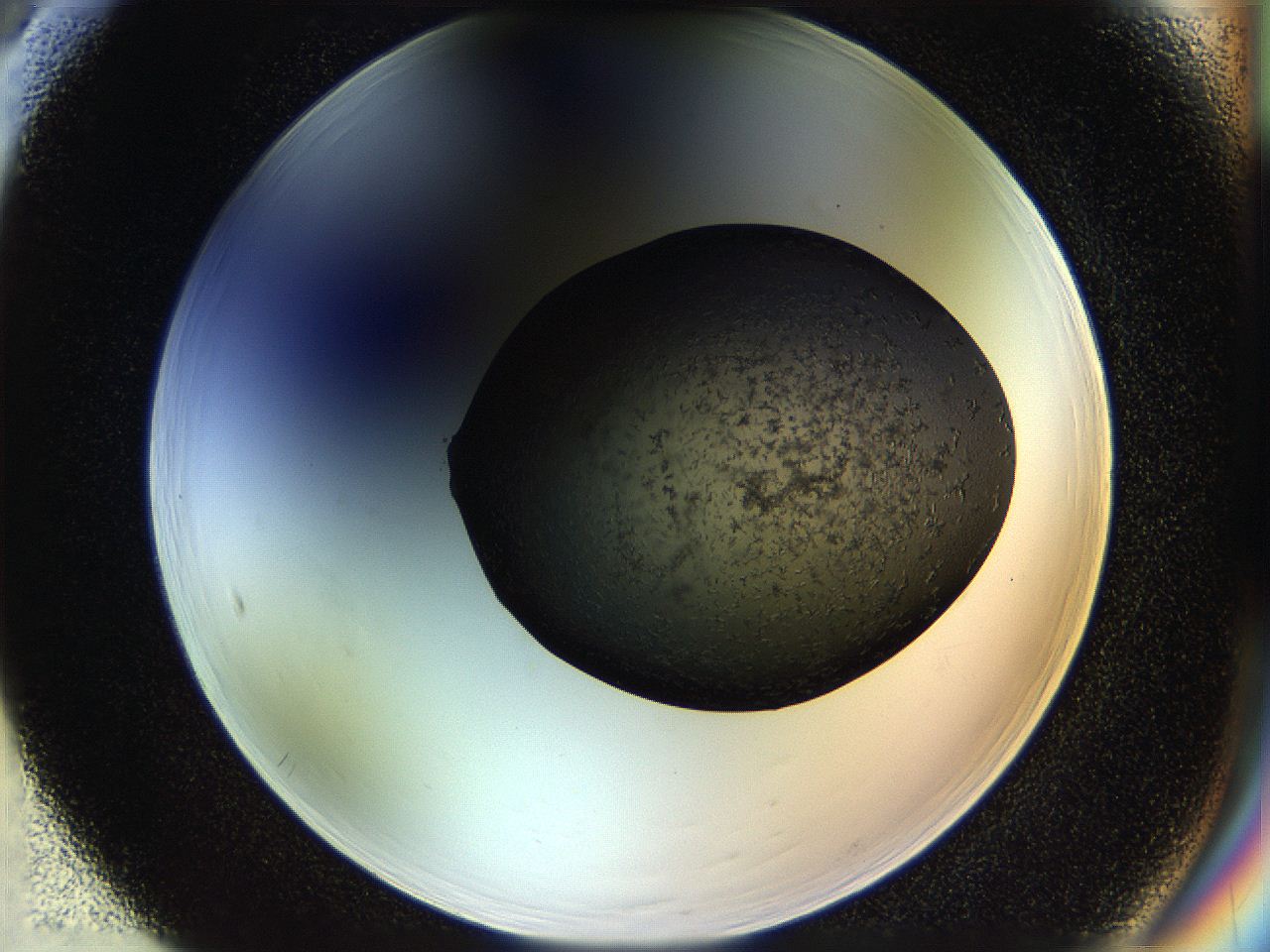 053o_F5_ImagerDefaults_6.jpg