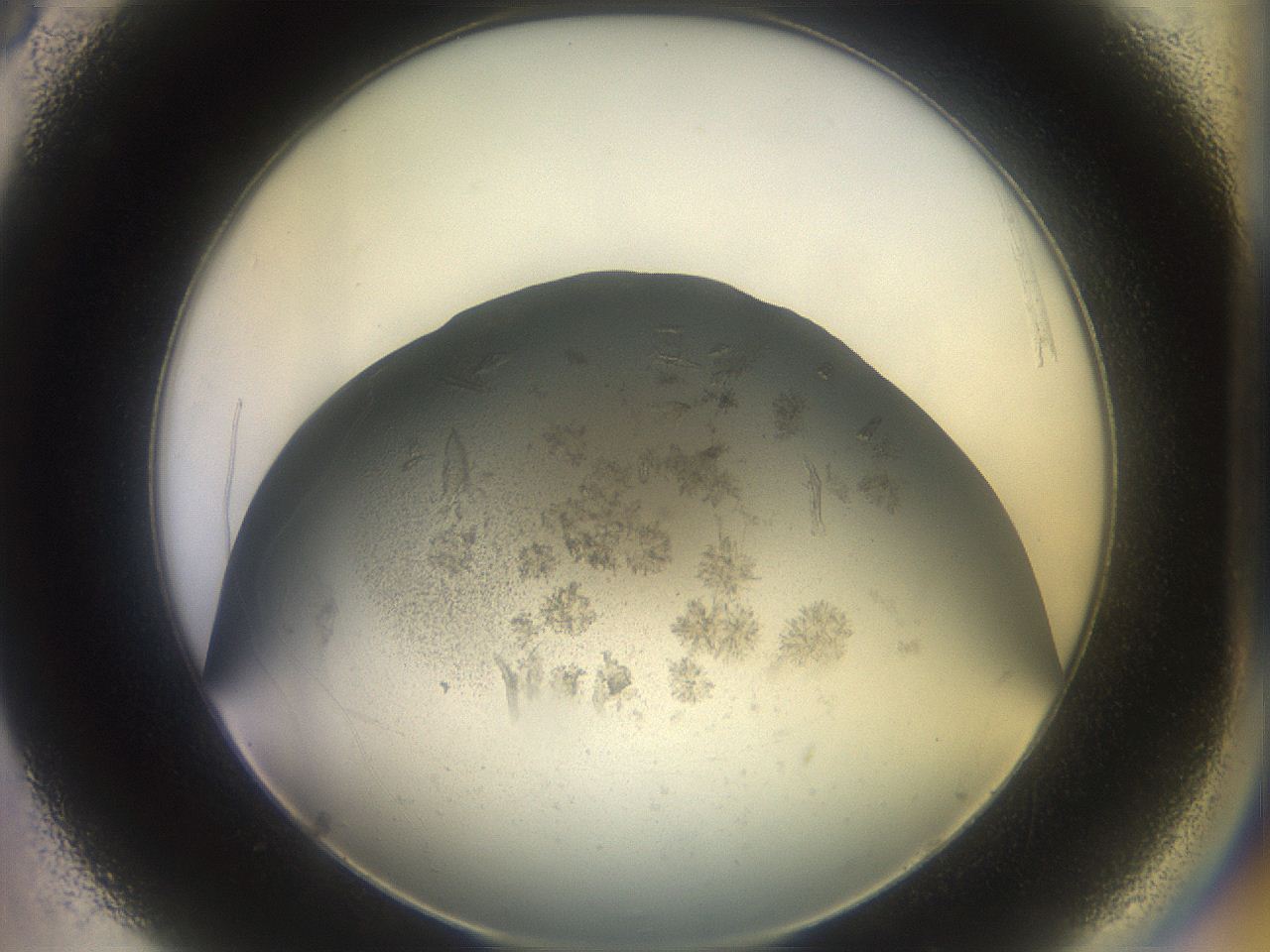053p_C8_ImagerDefaults_9.jpg