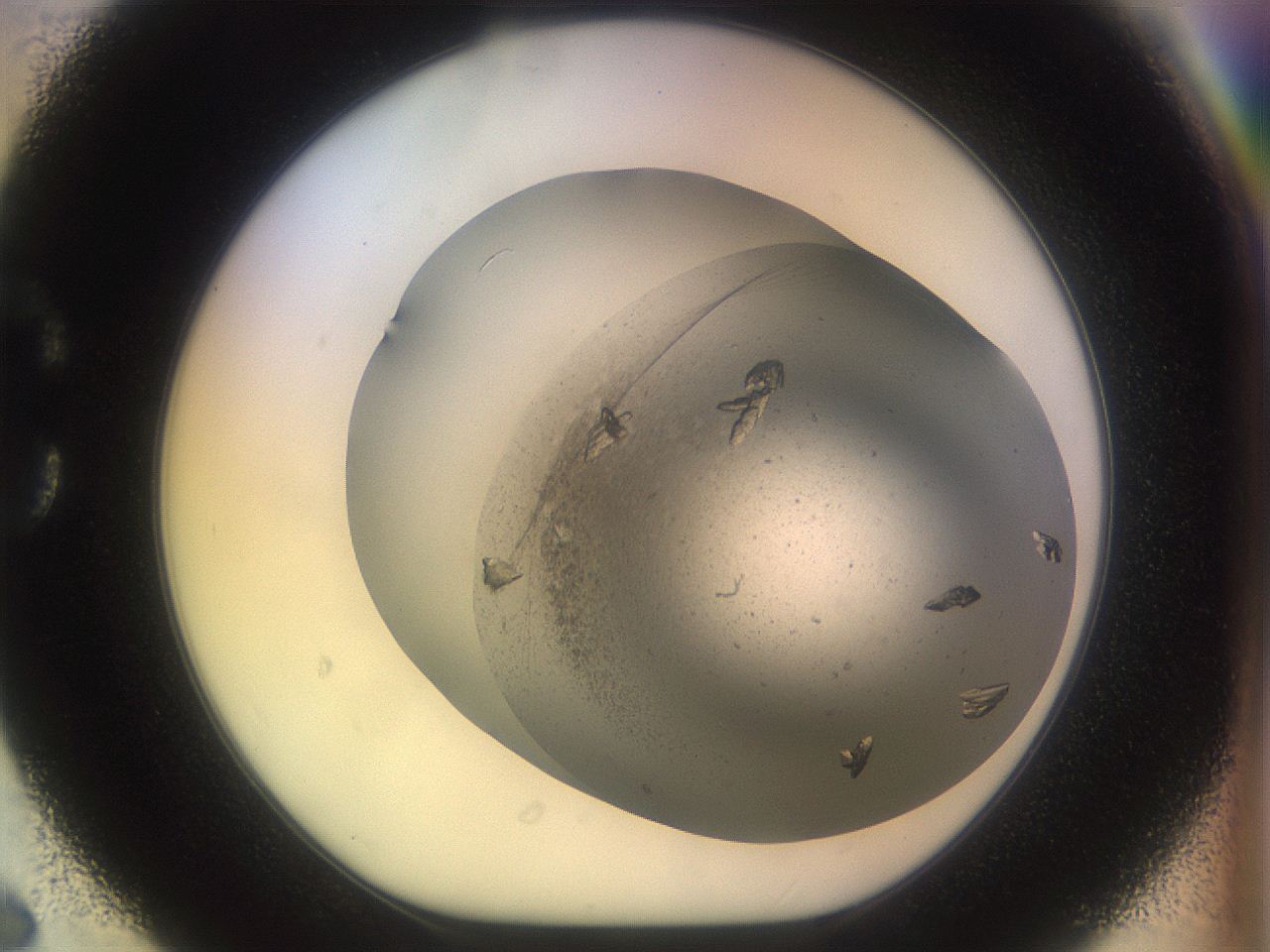053p_C6_ImagerDefaults_9.jpg